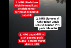 SKL Terbit Paling Lambat Akhir Desember,  Jika Data Tervalidasi, Maret 2025 NRG Keluar