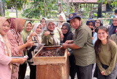 Budidaya Lebah Trigona Pacu Produktivitas Ekonomi, Kampung KB Sungai Jawi 