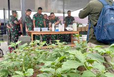 Siap Launching Program Makanan Bergizi, Pada 6 Januari 2024, TNI AD Beri Dukungan