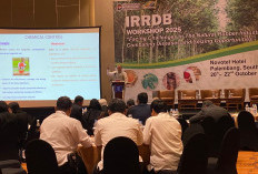 Krisis Industri Karet Nasional: Produksi Anjlok 1,6 Juta Ton dalam 7 Tahun