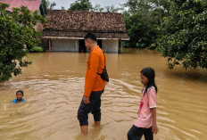 Sungai Keruh Meluap, Puluhan Keluarga di Bangun Jaya Terdampak Banjir