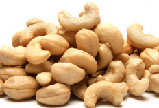 5 Jenis  Kacang ini Jadi Camilan Sehat, Nomor 1 Jadi Makanan Khas Indonesia
