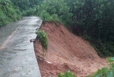 Banjir dan Longsor di Ulu Ogan: 69 Bangunan Rusak Berat dan 33 Titik Longsor, Ini Kondisinya!