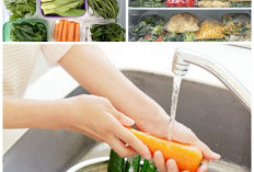 Tips Sederhana Buat Sayur dan Buah Awet Dalam Kulkas