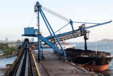 Cetak Rekor, Didominasi Pasar Domestik, Sepanjang 2024 Penjualan Tembus 42,9 juta Ton