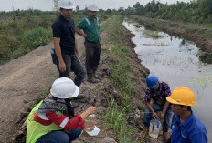 DLH Banyuasin Tindaklanjuti Dugaan Pencemaran Limbah PT CLL, Hasilnya Negatif