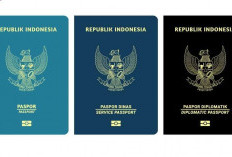 Wajib Tau, Tiga Warna Paspor RI yang Berlaku