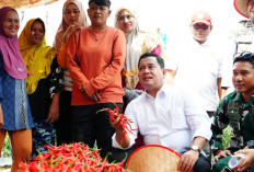 Pemkab Banyuasin Dukung Penuh GSMP, Siap Lanjutkan Gerakan Sumsel Mandiri Pangan