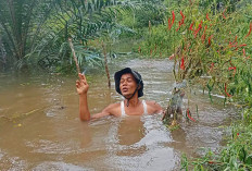 Musi Rawas Tetapkan Status Siaga Banjir dan Longsor