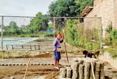 Gencar Bangun Infrastruktur, Ternak Bebek dan Kambing, Bumi Kencana