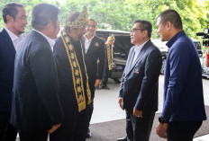 HM Toha Nahkodai DPD NasDem Muba, Pelantikan Dijadwalkan Agustus