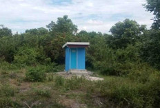 Jauh dari Pemukiman, WC Ini Dibangun di Tengah Semak Belukar, Dari Dana Desa