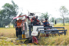 Bupati Banyuasin Ajak Warga Tak Alih Fungsi Lahan