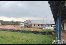 Sehari Setelah Hujan Guyur Hampir Sebagian Wilayah OKI, Belum Terdeteksi Karhutla di Selapan Hujan Gerimis 