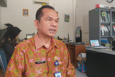 Universitas PGRI Palembang: Mahasiswa Magang Ferienjob Kembali Tanpa Masalah