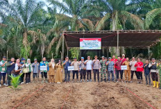 Polsek Lais Tanam Jagung, Perkuat Ketahanan Pangan Nasional