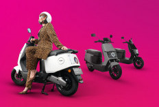 Perbandingan Polytron Fox 200 dan Polytron Fox S: Penerus Lebih Modern atau Tetap Pilihan Hemat?