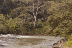 Warga Lubuklinggau Hilang di Sungai, Pencarian Terus Dilakukan