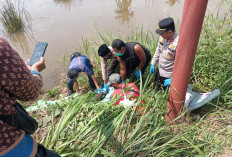 Pria 67 Tahun yang Hilang Empat Hari Ditemukan Tewas di Persawahan Banyuasin