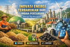 Inovasi Energi dari Limbah Pertanian: Peluang Besar, Kesiapan Masih Diuji