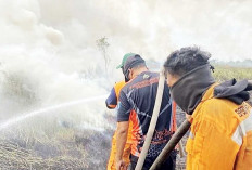 Bakar Lahan Ingin Lihat Heli Water Bombing, Kejadian di Ogan Ilir, Polisi Periksa Kejiwaan Pelaku 