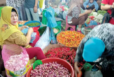 Pasokan dari Sentra Bawang di Pulau Jawa Berkurang, Harga bawang merah Melonjak Rp60 Ribu per Kg
