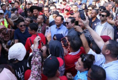 Tren Peningkatan Dukungan Prabowo-Gibran, Potensi Kemenangan Satu Putaran Terbuka
