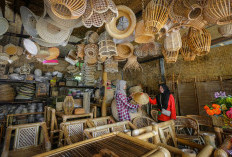 BRI Genjot Penyaluran KUR Rp31,42 Triliun, Perkuat UMKM hingga Pelosok Negeri