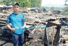 Ular Kobra Ditemukan di Sumur Pasar Pulau Mas Empat Lawang, Warga Resah