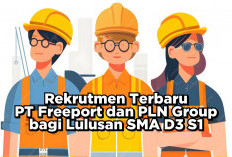 Loker BUMN: PT Freeport Indonesia dan PLN Group Buka Rekrutmen Bagi Lulusan SMA, D3, dan S1
