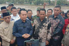 Pj Gubernur Sumsel Tinjau Desa Lesung Batu Muratara Pasca Banjir
