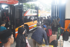 Puluhan Ribu Pemudik Tinggalkan Palembang Setiap Hari, Gunakan Berbagai Moda Transportasi