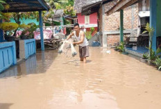Peringatan Dini Banjir! Sungai Komering Meluap, Puluhan Rumah Terendam di Martapura