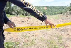 DLH Segel Dugaan Rencana Jalan Hauling di Lahat