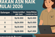 Tabel Uang Lembur dan Makan ASN dan Honorer, Nilainya Naik Mulai 2026