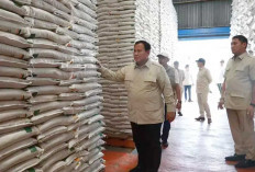 Stok Beras Aman 11 Bulan dalam Gudang Bulog