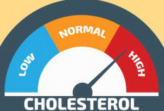 10 Mitos dan Fakta Seputar Kolesterol,  Yuk Simak Penjelasan Langsung Dari Ade Rai!