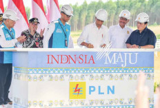 PLN Sukses Operasikan PLTS 10 MW, Tunjukkan IKN Dilayani Energi Bersih