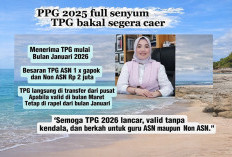 TPG Guru Lulusan PPG 2025 Segera Cair, Ini Syarat dan Jadwal Realisasinya di 2026