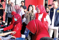  Tiap Bulan Rumah Sakit di Palembang Butuh 7.000 Kantong Darah