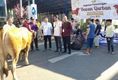 Kejari Palembang Tebar 500 Paket Kurban, Warga Sekitar Ikut Rasakan Berkah Iduladha