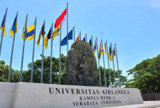 Resmi Ini 16 Universitas Terbaik di Indonesia Versi THE Impact Rankings Juni 2025. Kampus Kamu Nomor Berapa?