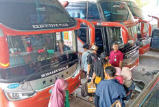Sediakan Bus-KA untuk Mudik Gratis, Bisa Daftar di Dishub Sumsel dan BSB