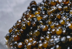 Harga Mahal Setimpal dengan Manfaat, Mengapa Caviar Begitu Istimewa?