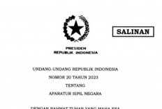 UU ASN Nomor 20 Tahun 2023 Resmi Disahkan, PNS dan PPPK Bisa Menjadi Pejabat Negara, Tapi Ada Resikonya