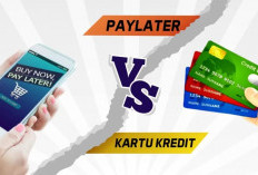 Cicilan Kartu Kredit vs Paylater, Mana yang Lebih Menguntungkan di 2026?