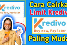 Panduan Lengkap Pencairan Limit PayLater Kredivo ke Rekening Bank atau Dompet Digital