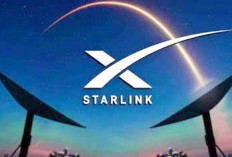 Starlink Indonesia: Investasi Rp30 Miliar dan 3 Pekerja, Ini Reaksi Menteri Investasi/Kepala BKPM!