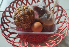 SPPG dalam Program MBG: Kunci Sukses Makan Bergizi Gratis agar Tak Sekadar Kenyang