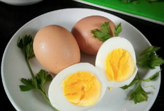 Telur Rebus Bikin Berat Badan Turun?  Ini Penjelasananya